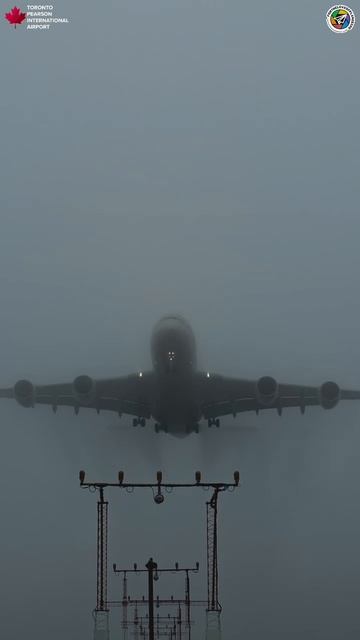 ✈️✈️✈️