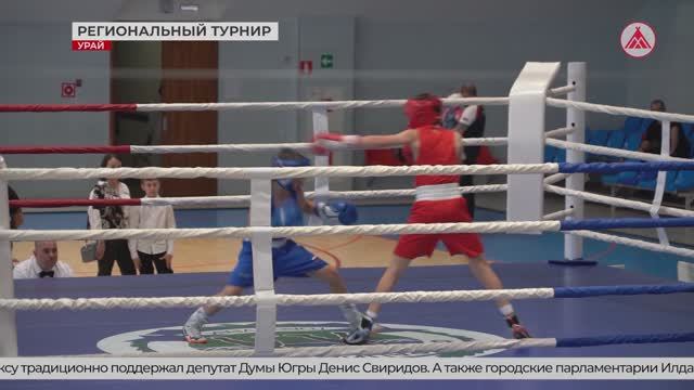 Региональный турнир по боксу прошел в Урае. 02-06-2026