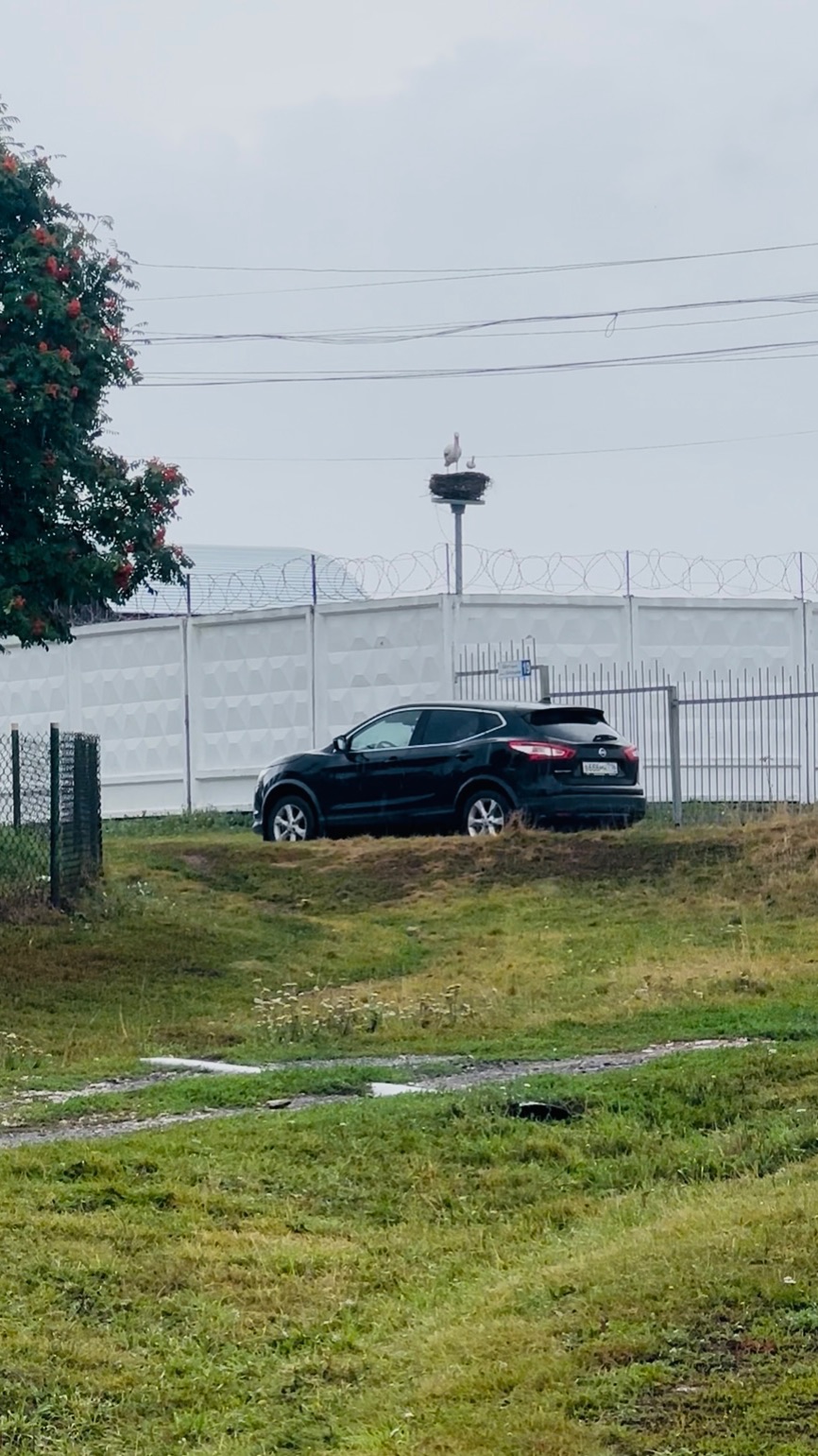 Красивый Nissan Qashqai J11 2018 г.в.