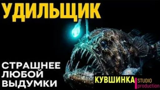 Самое странное существо океана