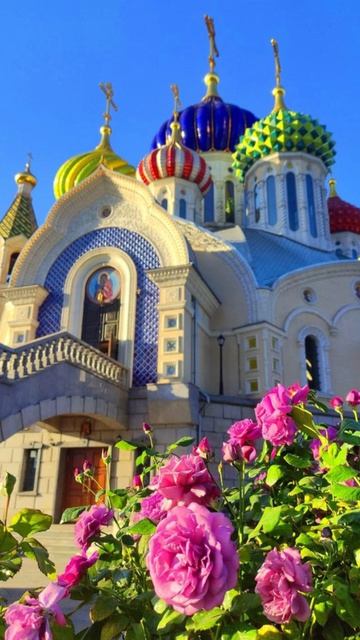 Душевный лекарь#Церковь#shortvideo#shorts#Молитва#Православие