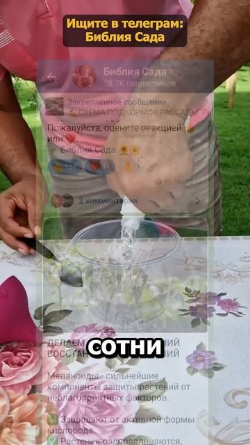 Нельзя просто косить траву на участке #огород #дача #сад #участок #советыдачникам