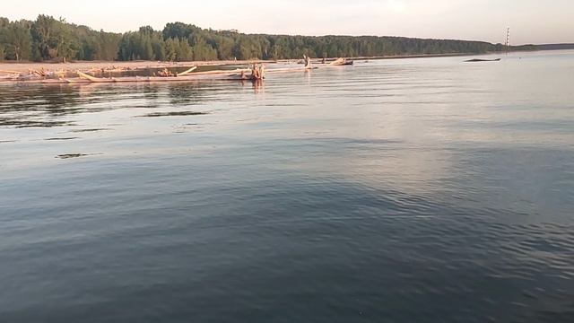 Прогулка среди коряг по Обскому морю: бреттонвуд к осени рухнет? Почему еврофашисты эскалируют 🤔