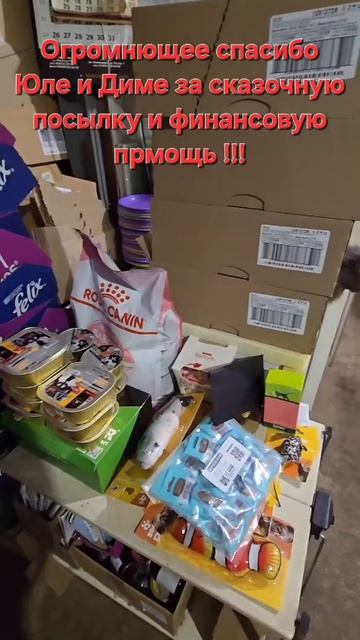 Огромное спасибо!!!