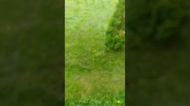 жизнь в деревне 2 часть