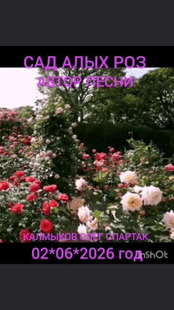 САД АЛЫХ РОЗ. Автор песни Калмыков Олег Спартак. Канал Новая Яркая Звезда Telegram MAX Yappy RUTUBE.