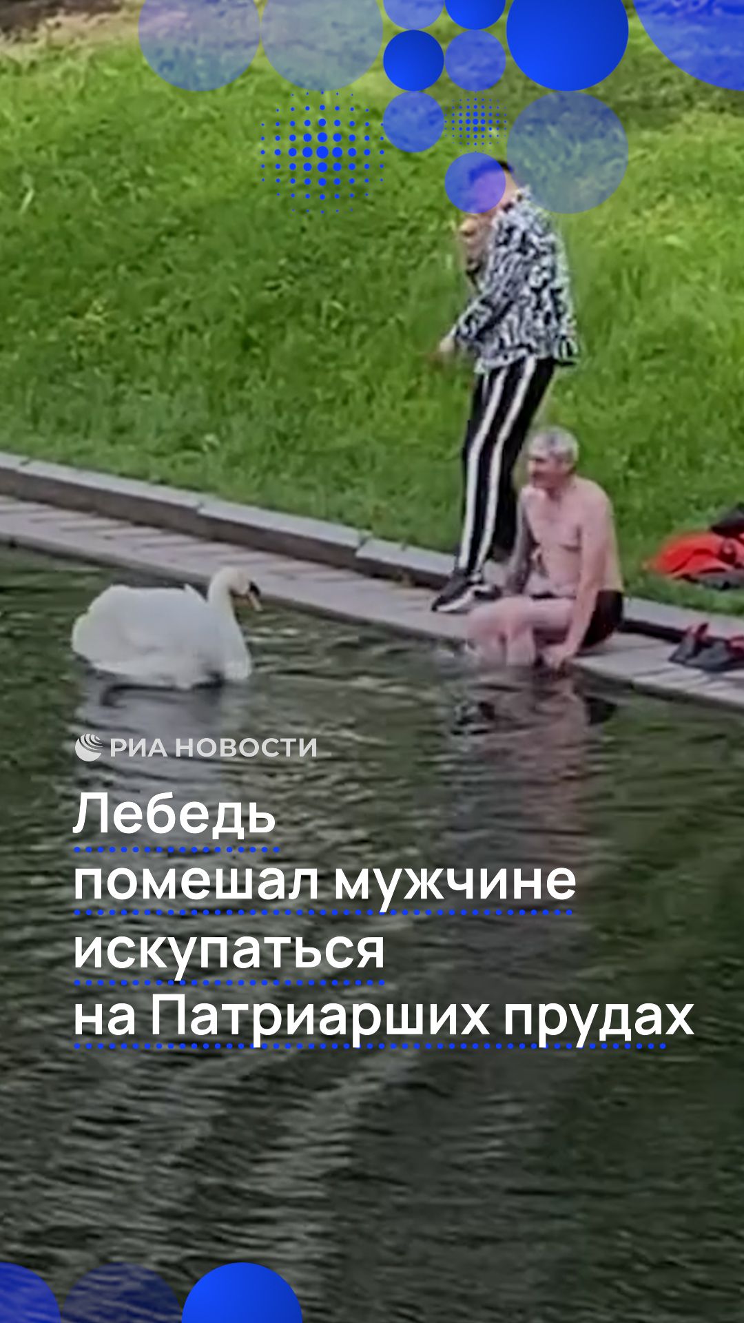 Лебедь помешал мужчине искупаться на Патриарших прудах