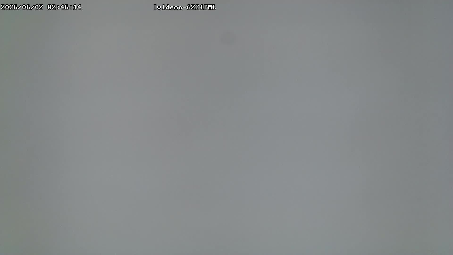 LIVE: Channel43489494