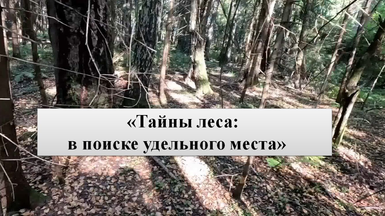 «По следам удельного места: экспедиция в глушь»