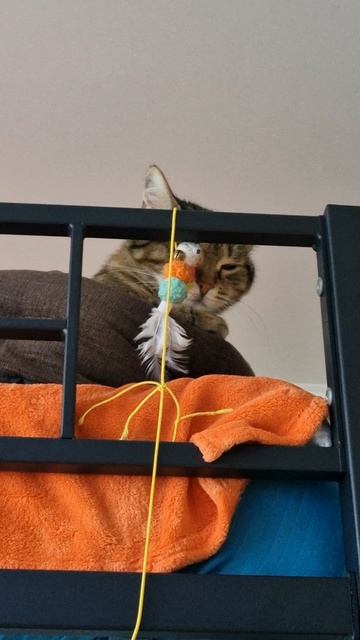 Мне этот мир абсолютно понятен...