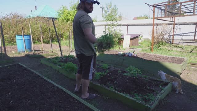 Урожая огурцов будет много! Высаживаю рассаду на улицу без теплицы ПОДВАЛ ИЛЬИЧА