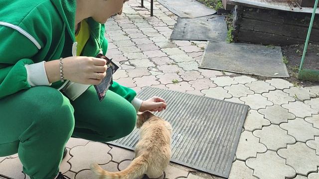 1000036738.mp4