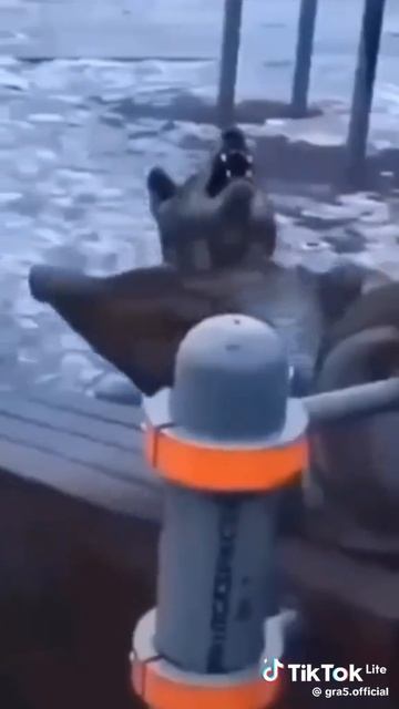 Круто!