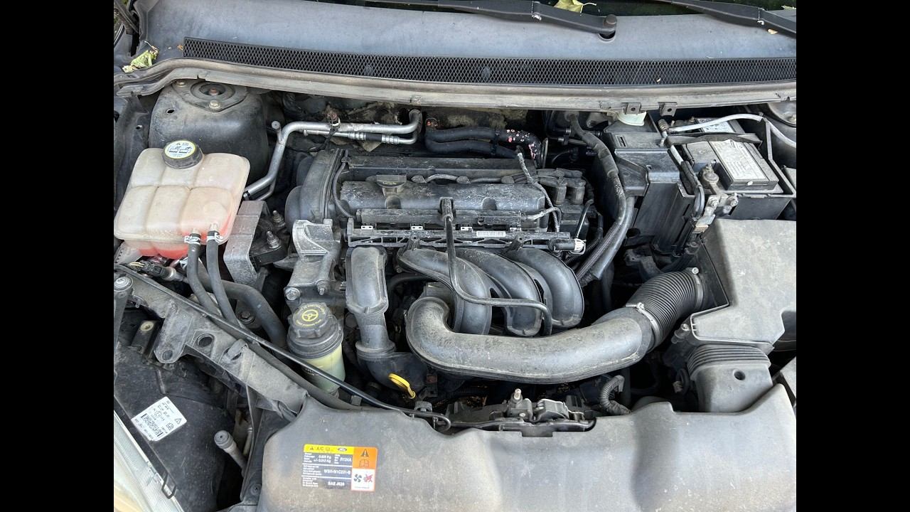 S 8381 ДВС (Двигатель) Ford Focus-2 1.6i SHDA