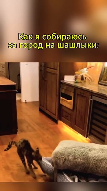 #дача #выходные #юмор #шашлыки #загород #отдых