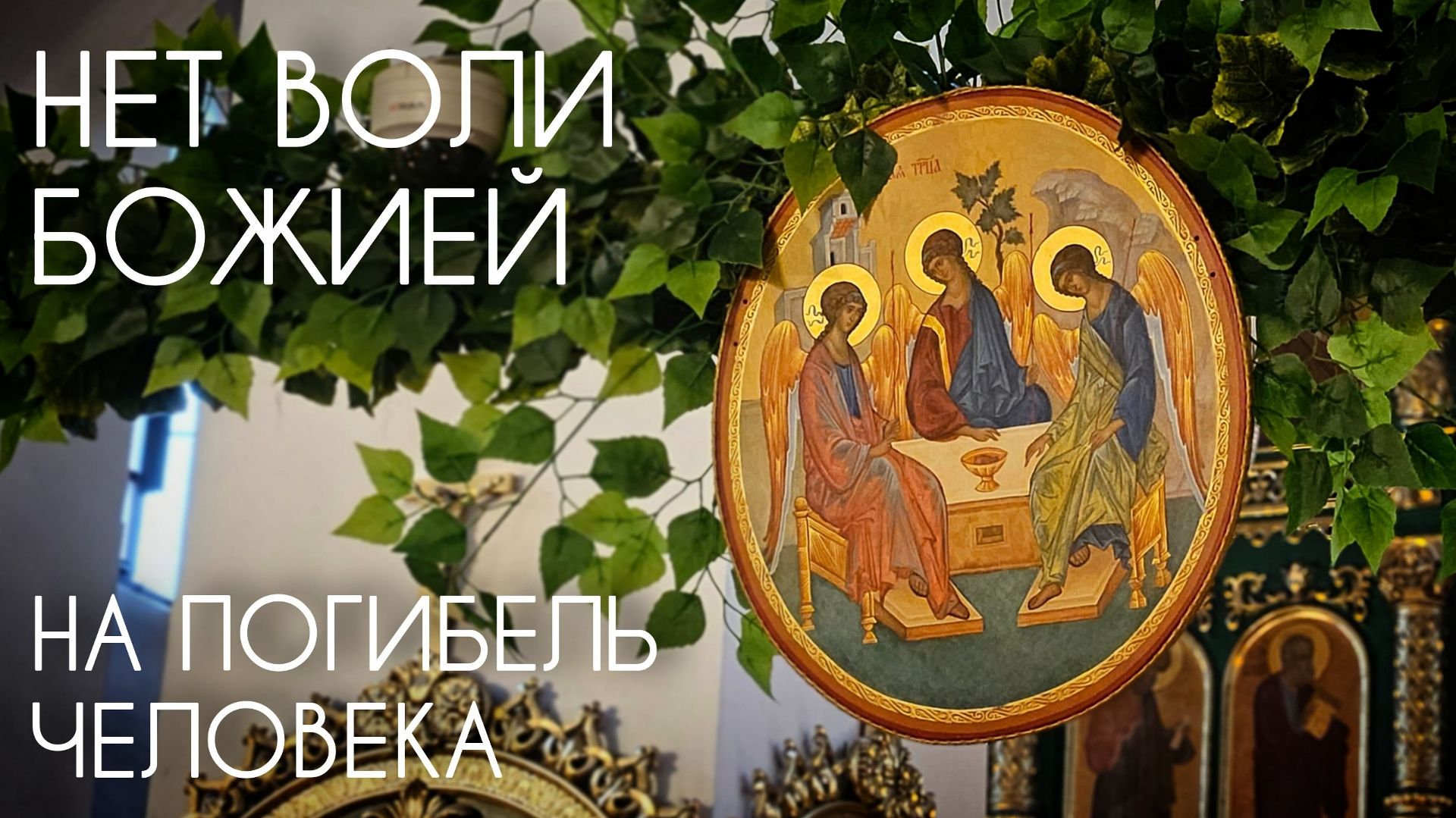 Нет воли Божией на погибель человека. Прот. Андрей Овчинников.