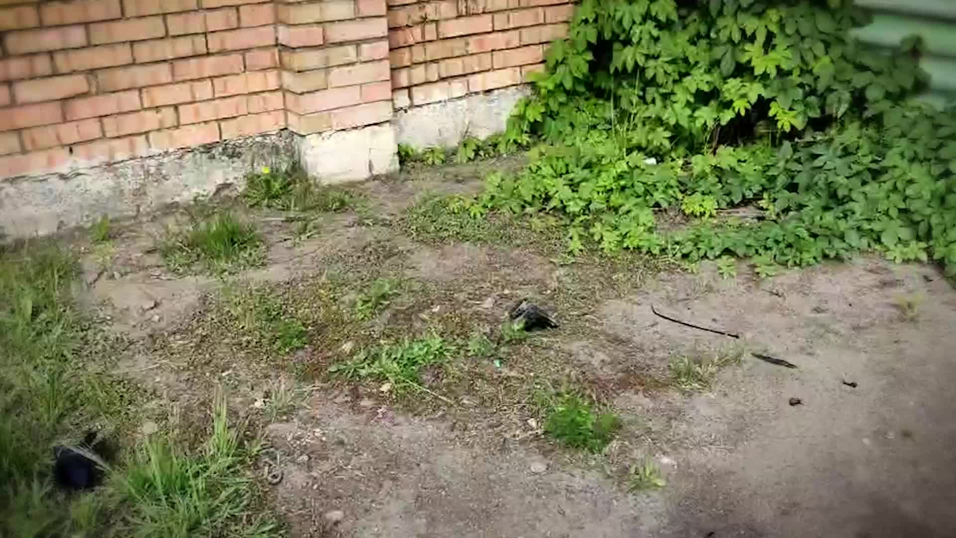 ⚡Подавленный 