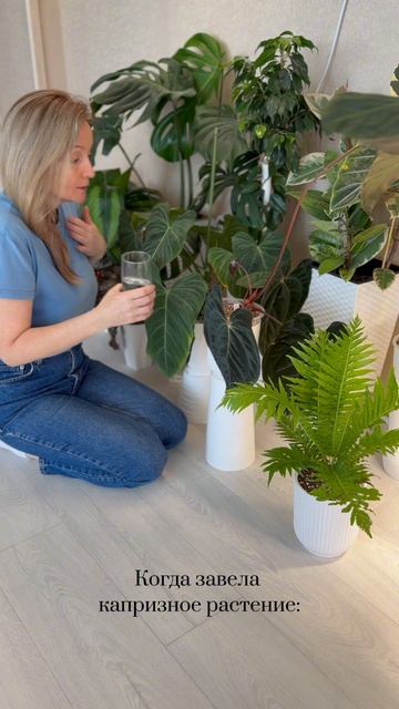 #plants #комнатныерастения #цветы