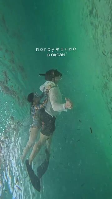 Не умеешь нырять?