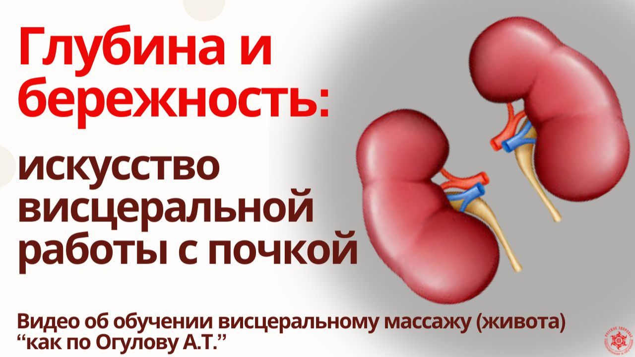 Глубина и бережность: искусство висцеральной работы с почкой . Видео об обучении