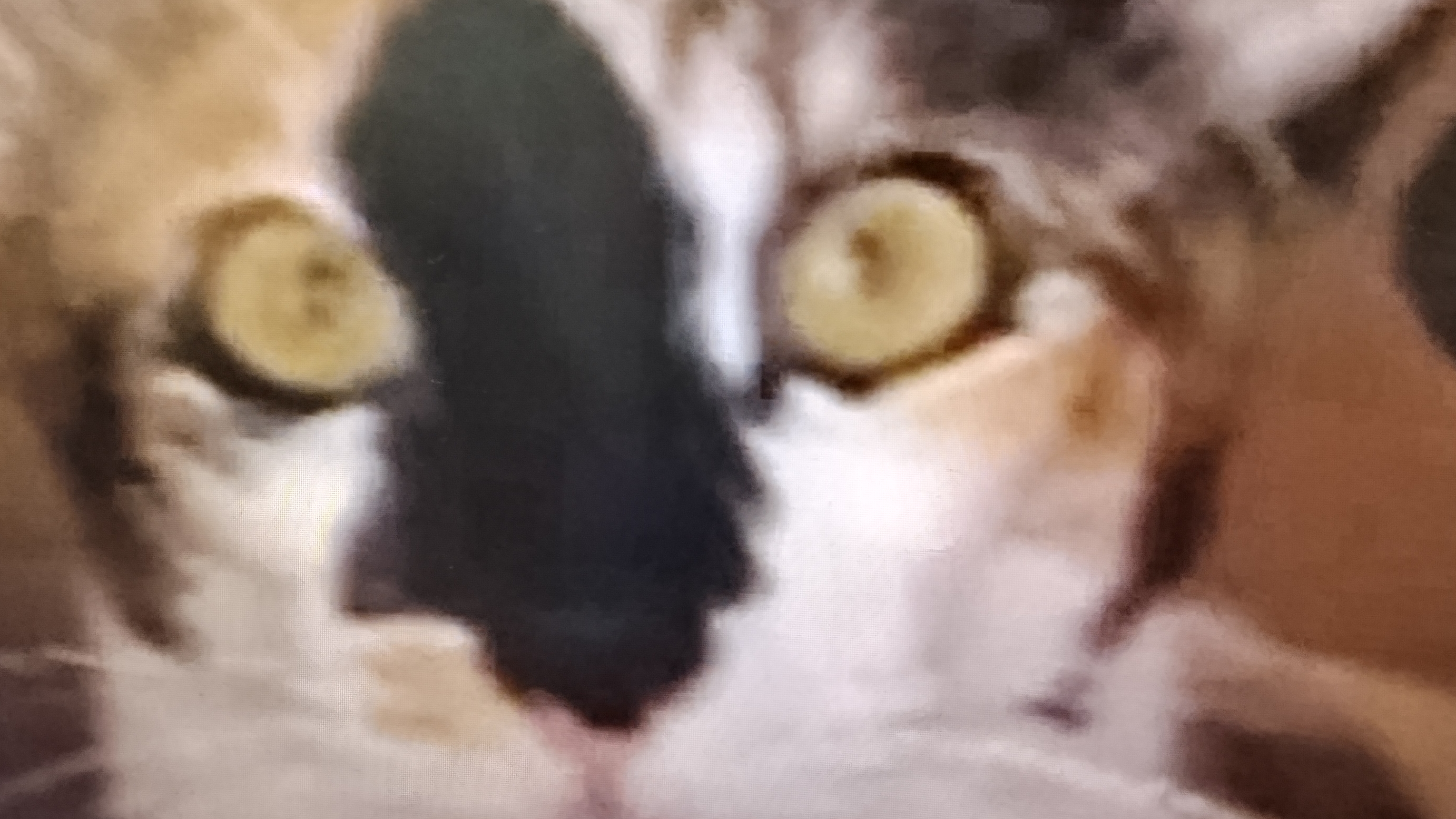 лабубу
