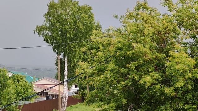 дождливый летний день в начале лета