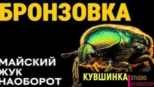 Три года в темноте