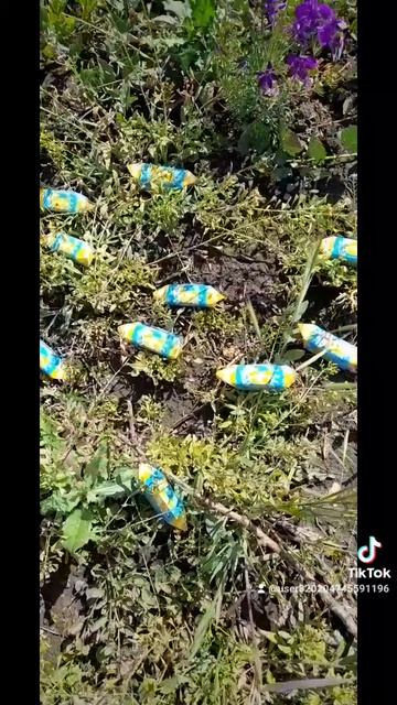 1000026844.mp4