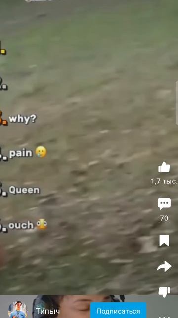 смешные видео