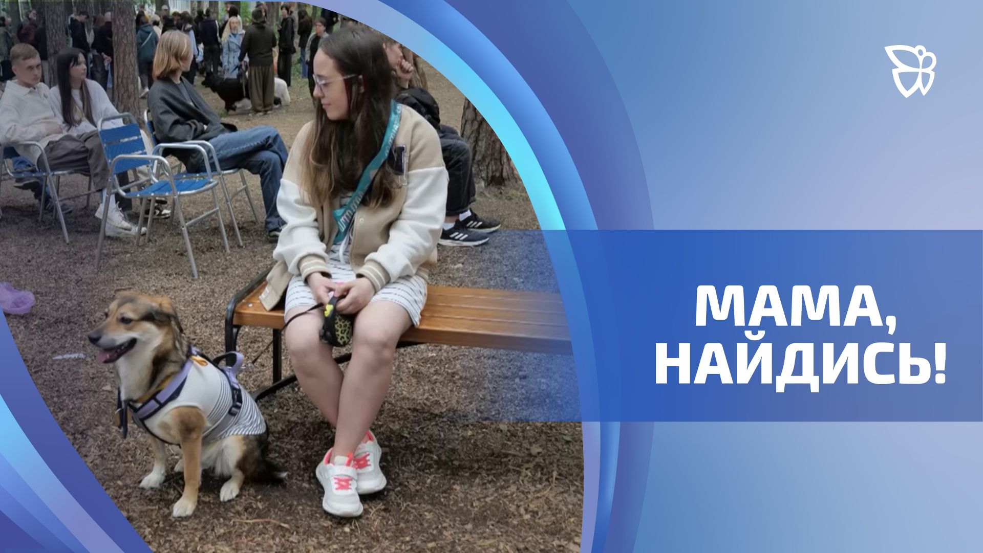 Брошенные кошки и собаки обрели новых хозяев