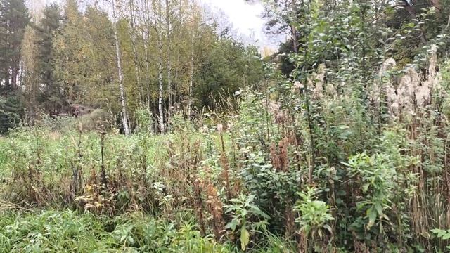 Озеро Светлояр. Место Силы. Нижегородская область.