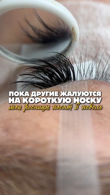 Мои ресницы клиенты носят по 8 недель! Подробности в шапке профиля!