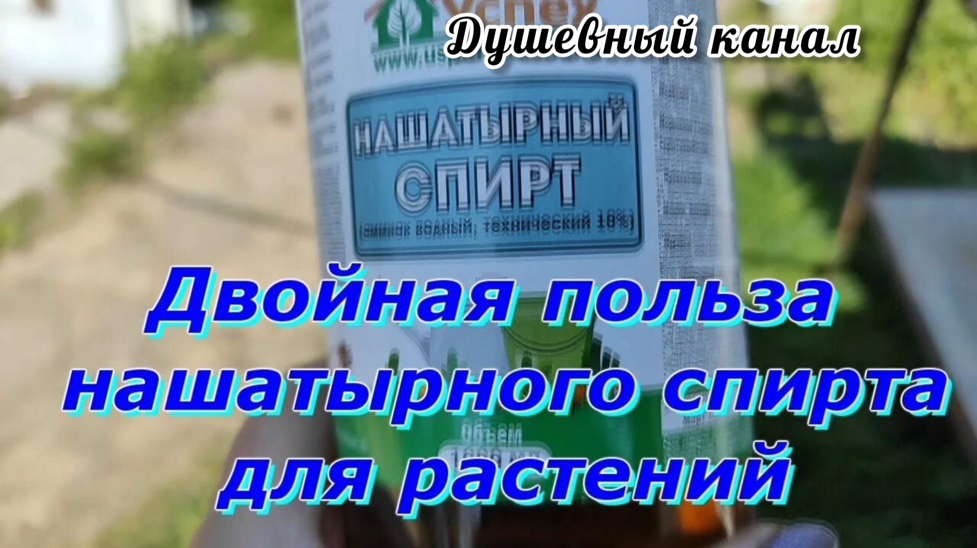 ДВОЙНАЯ ПОЛЬЗА НАШАТЫРНОГО СПИРТА ДЛЯ РАСТЕНИЙ