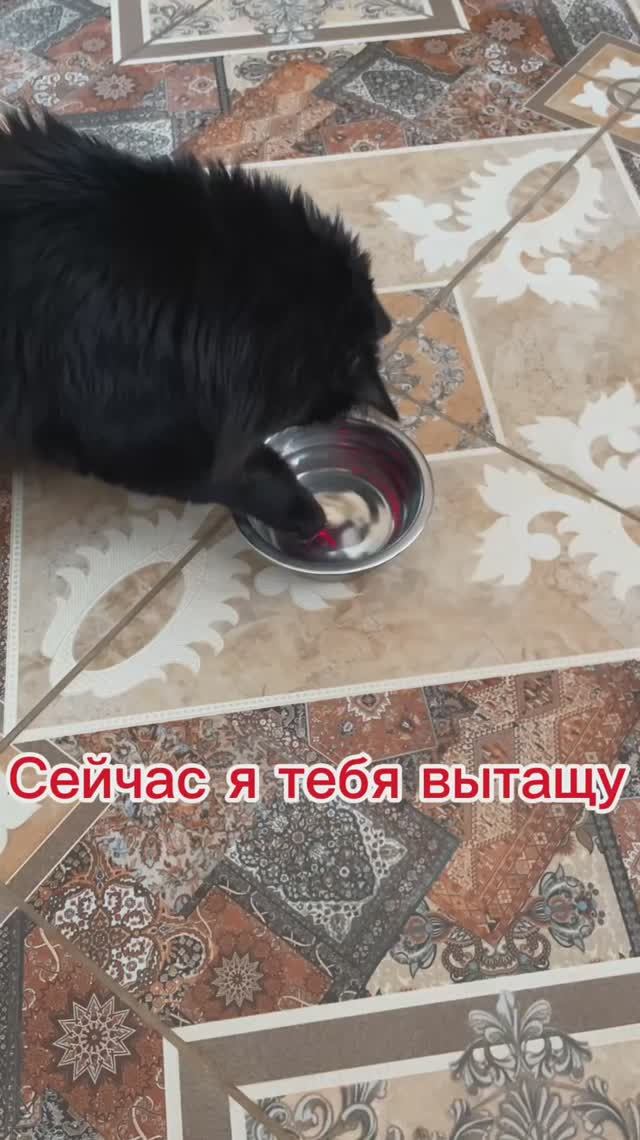 Как ЕГО достать?