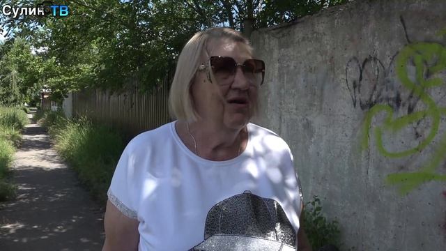 Травяные джунгли у дороги