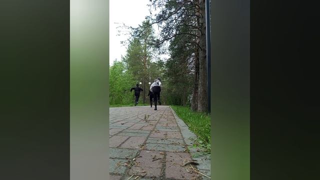 Тренировка