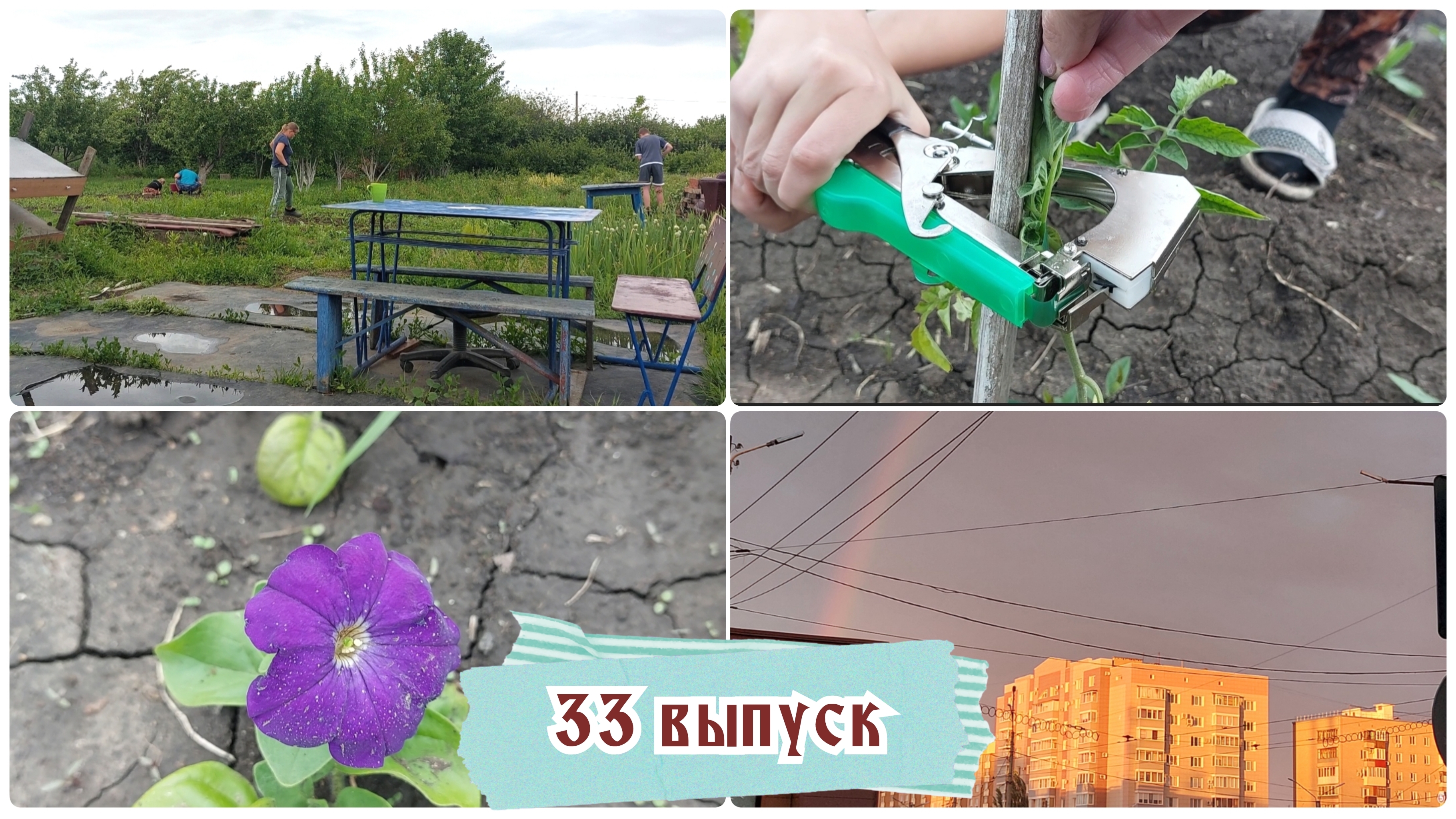 Боремся с травой на даче 💪 Трава прет, как на дрожжах / Справится даже ребенок / Что же выросло