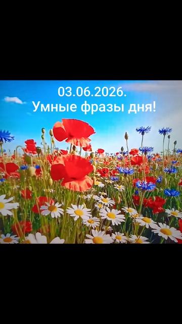 Девиз дня!☀️🌈🥰03.06.2026.Если умеешь принимать подарки Судьбы и Дары...#душа #мысли #чувства #дела