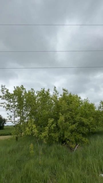 16939195959814