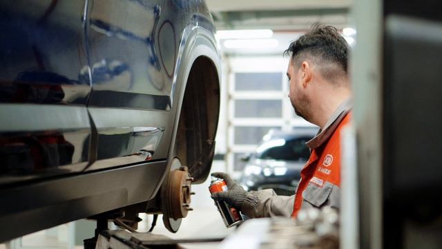 Профессиональное техническое обслуживание Kia