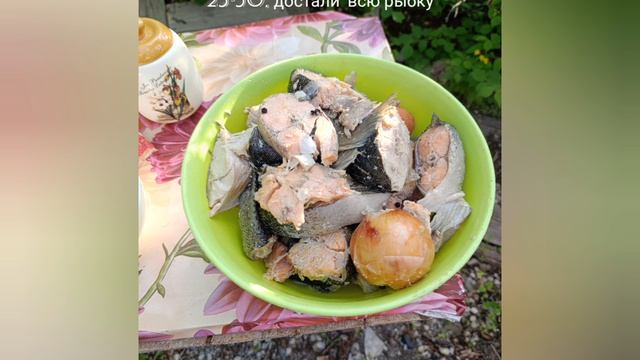 уха вкуснейшая