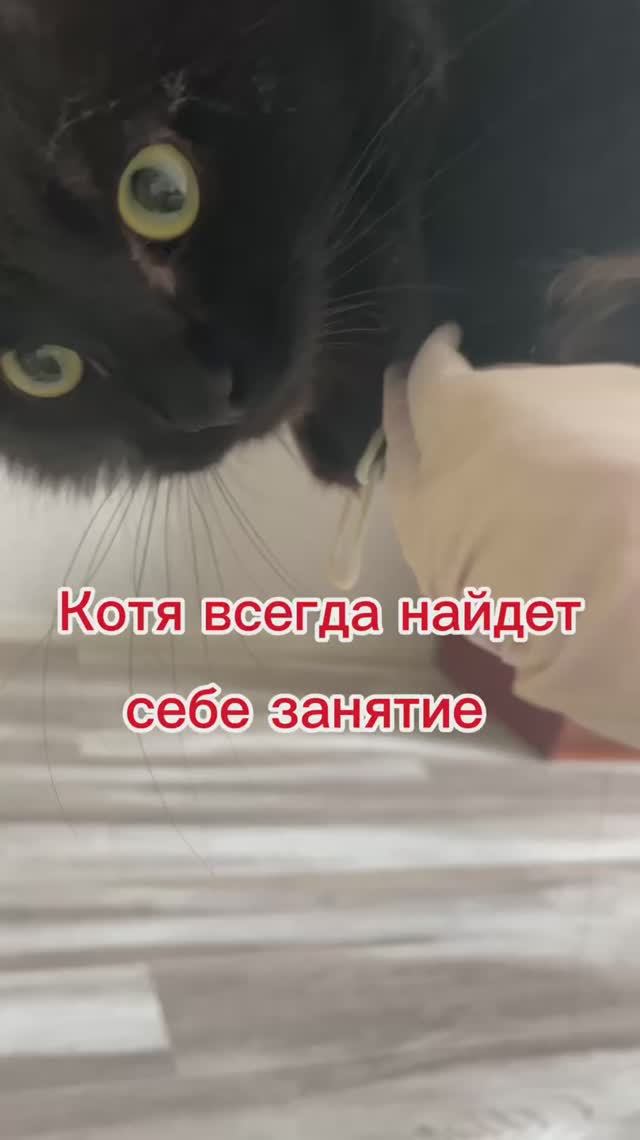 И как я их раньше не видел?