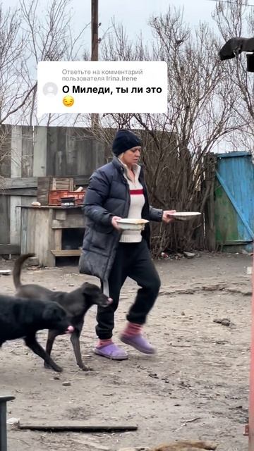 Меледи, ты ли это ?