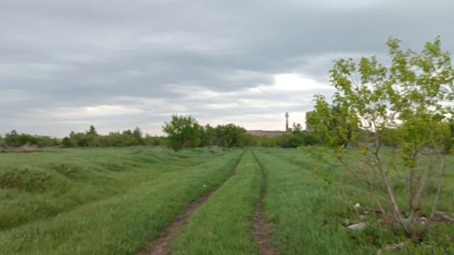 Прогулка