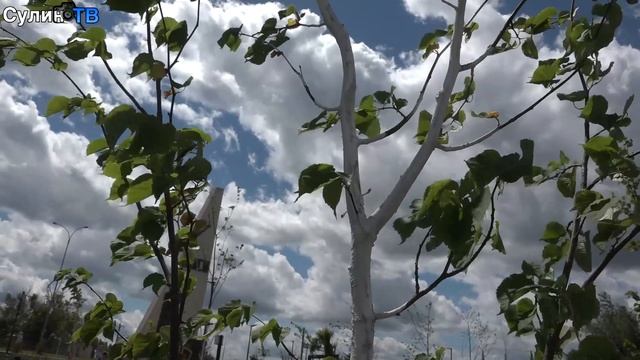 Свежий ветерок