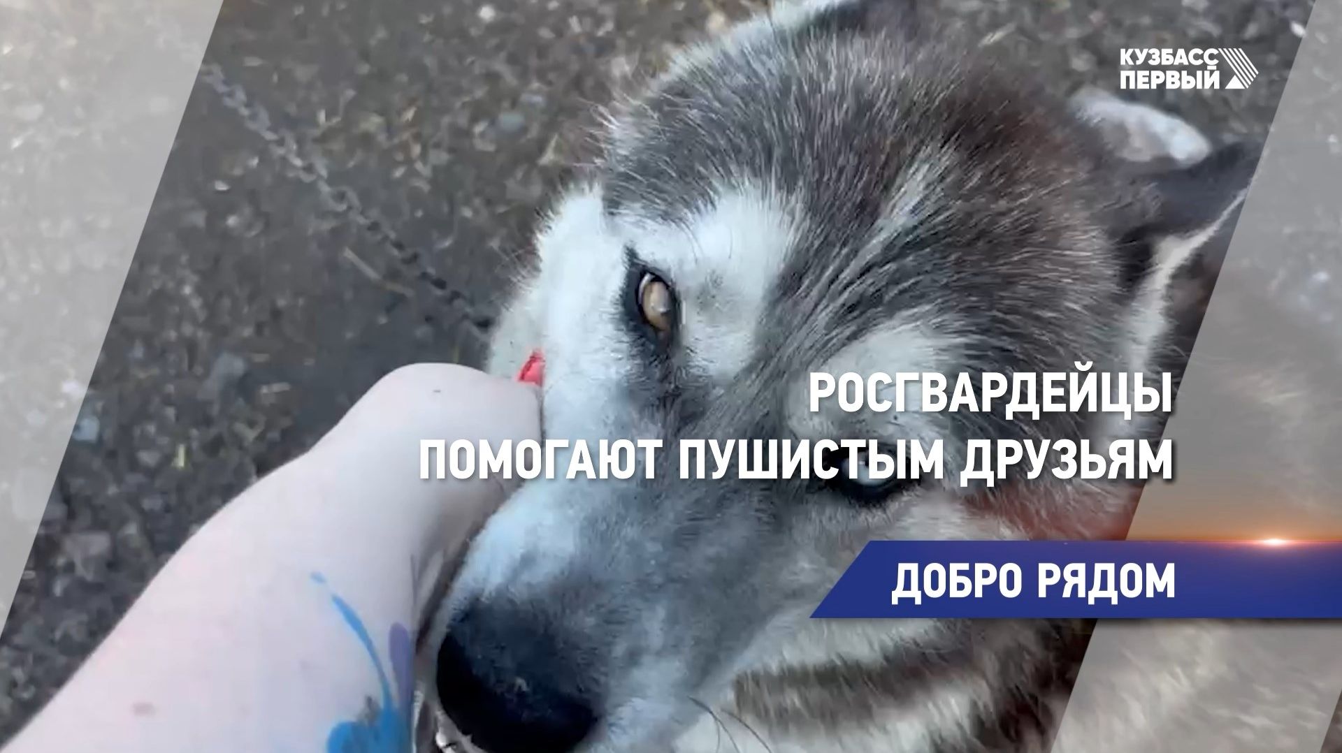 ДОБРО РЯДОМ