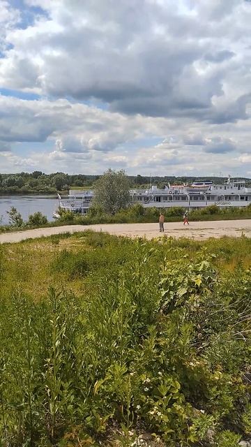 Звук двигателя парохода.