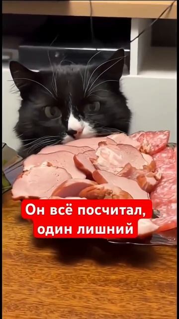Такс, одна лишняя🤣