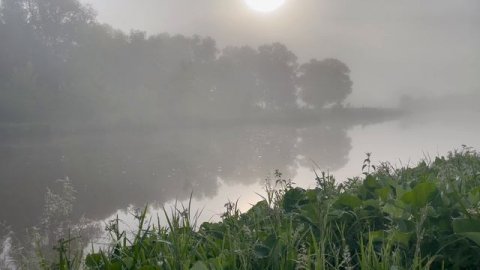 Минута утренней свежести