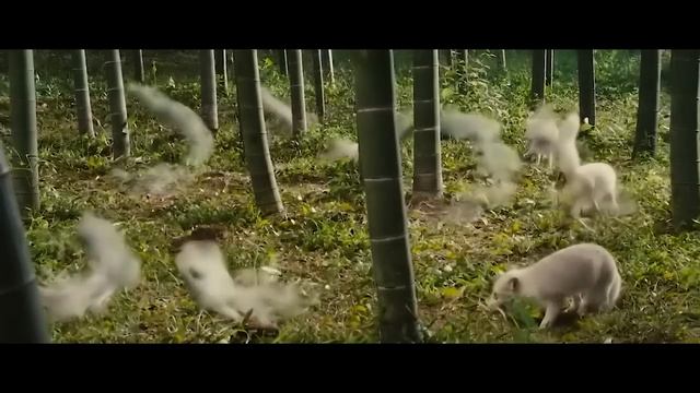 Девушка-Змея Влюбляется В Обычного Человека, Но Монах-Экзорцист Хочет Ее Убить